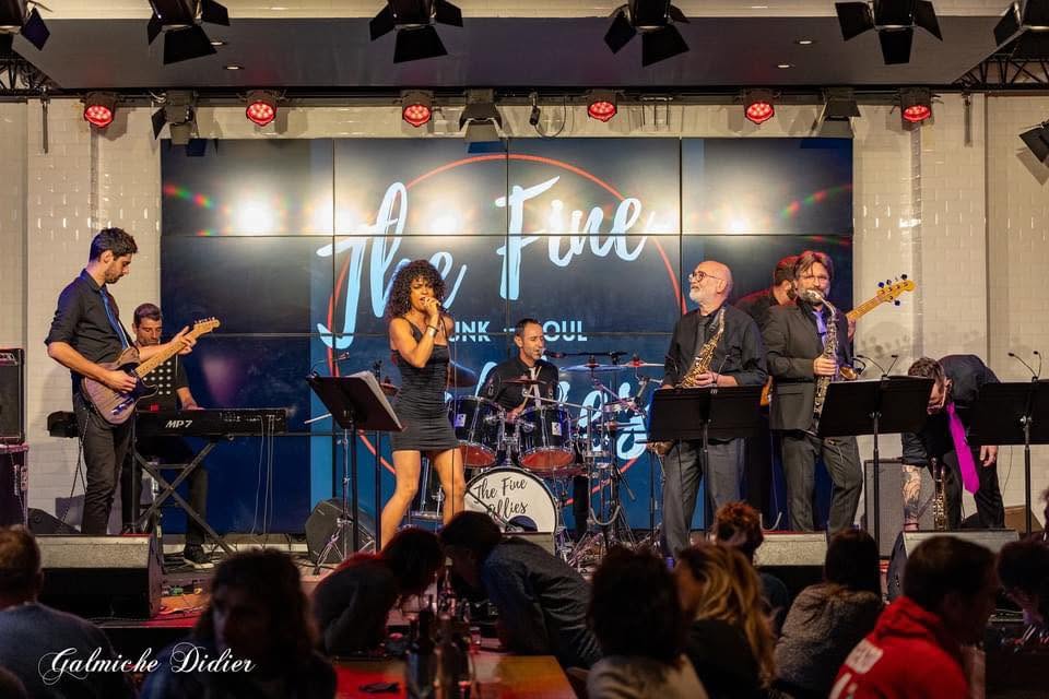 The Fine Allies in concert, full band on stage