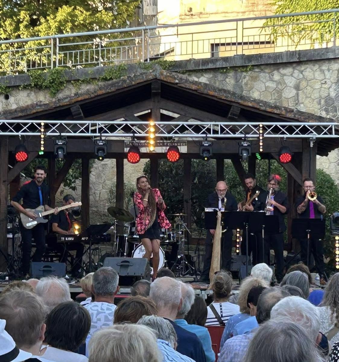 The Fine Allies in concert outdoors